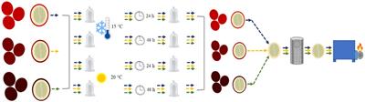 Impact of fruit reserve conditions from harvest to processing on the chemical composition and quality of coffee